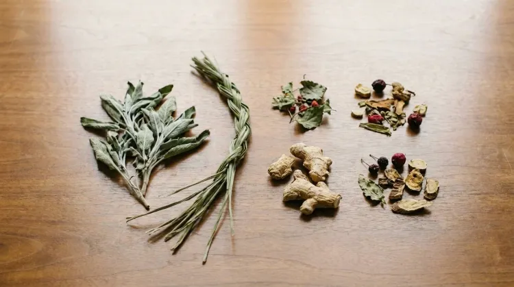 Loose dried medicinal botanicals — sage, sweetgrass, ginger root — laid out separately on a wooden surface