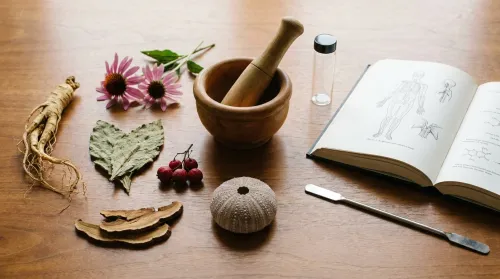 Distinct dried medicinal botanicals beside modern clinical tools, integrating indigenous healing practices with biomedicine